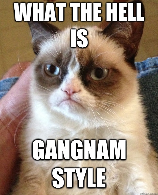 What the hell is Gangnam style  Grumpy Cat