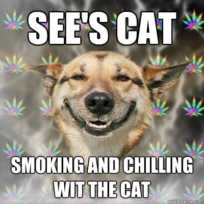 see's cat smoking and chilling wit the cat  Stoner Dog