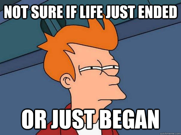 Not sure if life just ended or just began  Futurama Fry