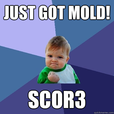 just got mold! scor3  Success Kid