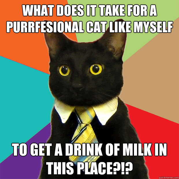 what does it take for a purrfesional cat like myself to get a drink of milk in this place?!?  Business Cat