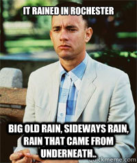 It rained in Rochester Big old rain, sideways rain, rain that came from underneath..   Forrest Gump