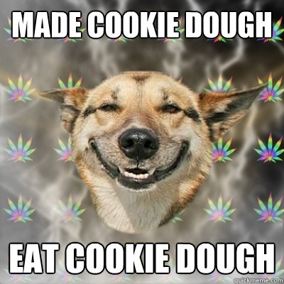 made cookie dough eat cookie dough  Stoner Dog