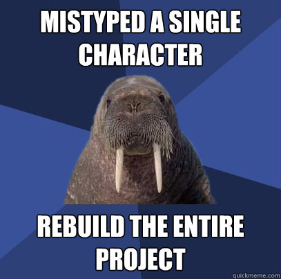 Mistyped a single character rebuild the entire project  Web Developer Walrus