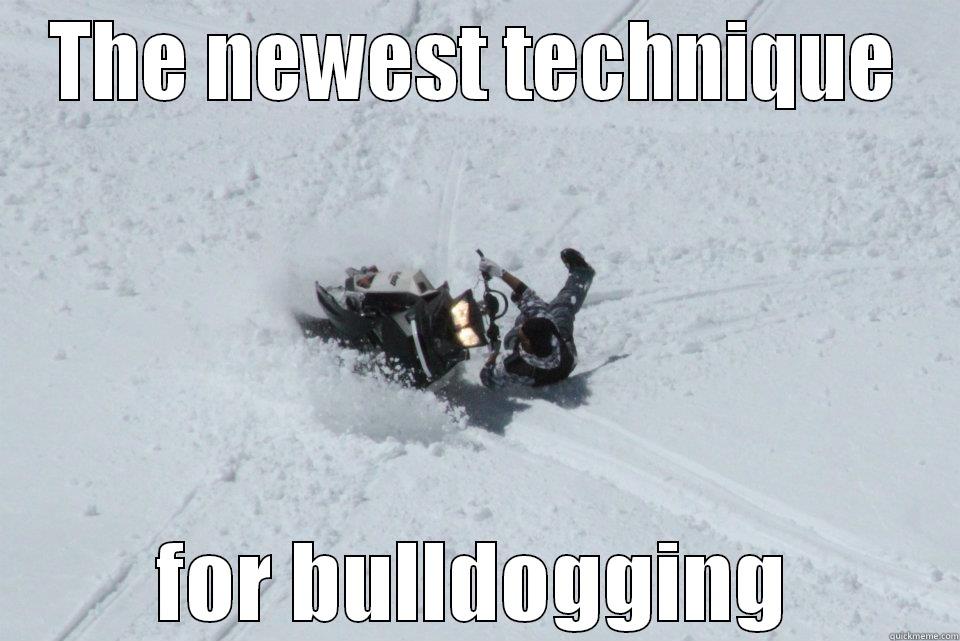 THE NEWEST TECHNIQUE FOR BULLDOGGING Misc