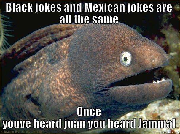 BLACK JOKES AND MEXICAN JOKES ARE ALL THE SAME ONCE YOUVE HEARD JUAN YOU HEARD JAMMAL Bad Joke Eel