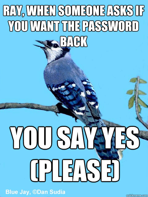 Ray, when someone asks if you want the password back you say yes
(please)  Blue Team Bird