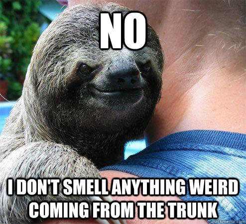 no I don't smell anything weird coming from the trunk  Suspiciously Evil Sloth