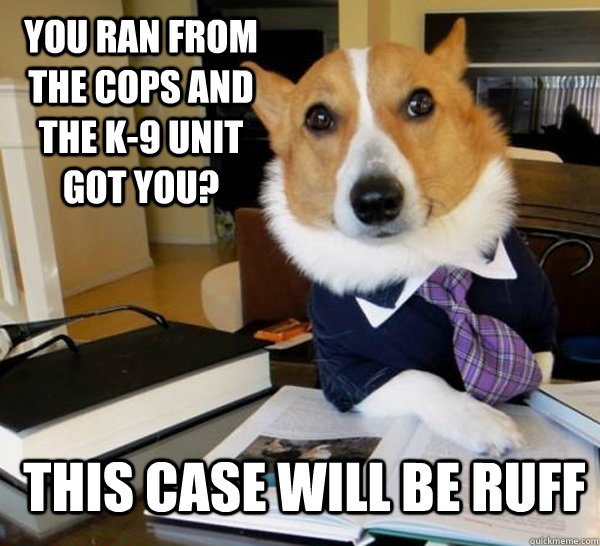 You ran from the cops and the k-9 unit got you? This case will be ruff  Lawyer Dog