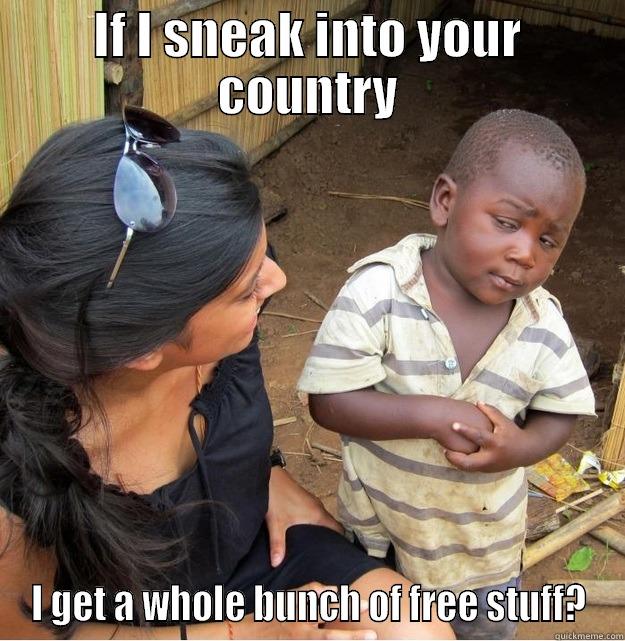 IF I SNEAK INTO YOUR COUNTRY I GET A WHOLE BUNCH OF FREE STUFF? Skeptical Third World Kid