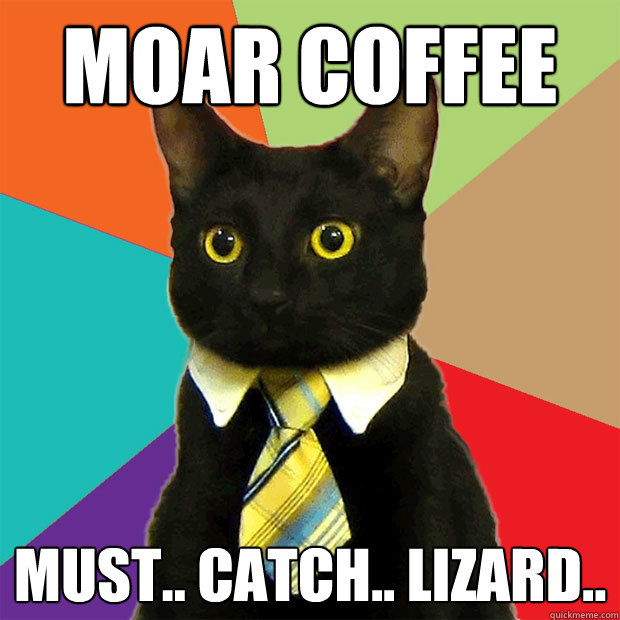 moar coffee must.. catch.. lizard..  Business Cat