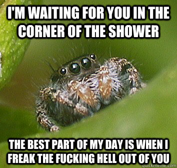 I'm waiting for you in the corner of the shower the best part of my day is when i freak the fucking hell out of you  Misunderstood Spider