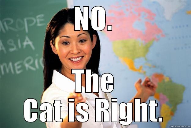 NO. THE CAT IS RIGHT. Unhelpful High School Teacher