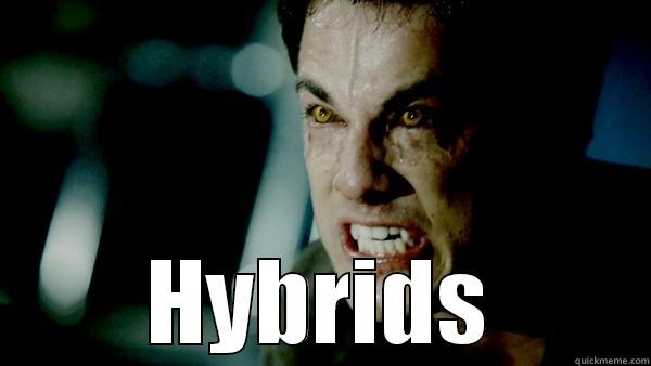  HYBRIDS Misc