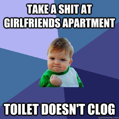 Take a shit at girlfriends apartment Toilet doesn't clog - Take a shit at girlfriends apartment Toilet doesn't clog  Success Kid