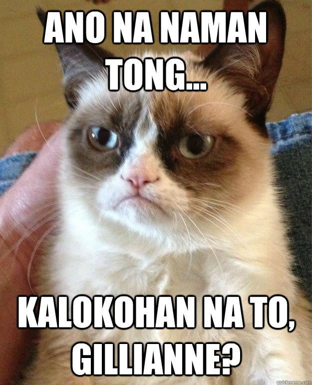 ano na naman tong... Kalokohan na to, gillianne?  Grumpy Cat