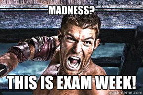 MADNESS? THIS IS EXAM WEEK!  Spartacus