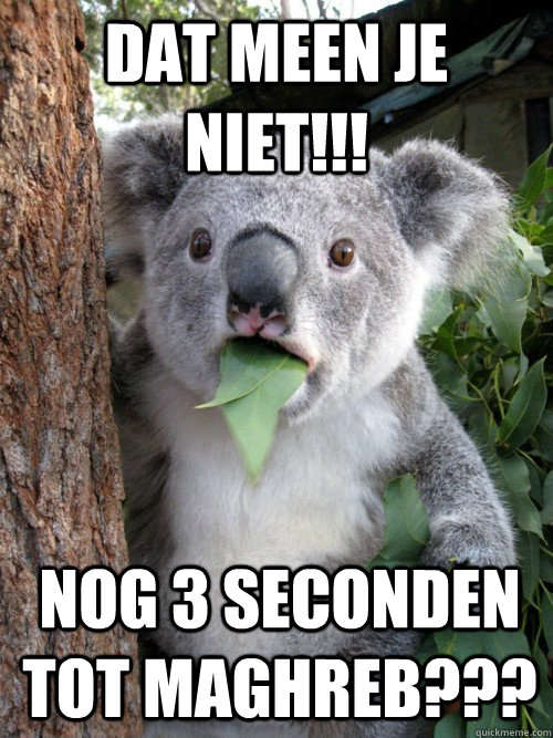 dat meen je niet!!! nog 3 seconden tot maghreb???   koala bear