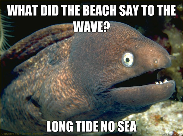 what did the beach say to the wave? long tide no sea  Bad Joke Eel