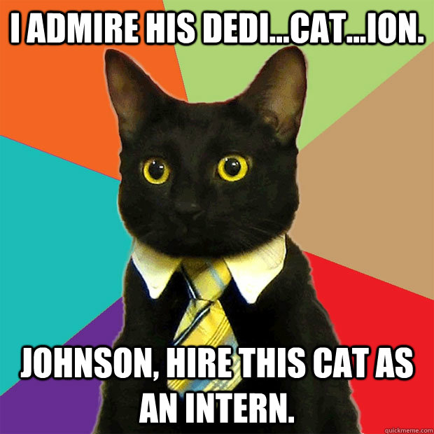 I admire his dedi...cat...ion. Johnson, hire this cat as an intern.  Business Cat