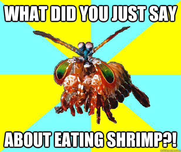 What did you just say about eating shrimp?!  Non-internet savvy mantis shrimp