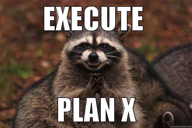 EXECUTE  PLAN X Evil Plotting Raccoon