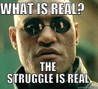 WHAT IS REAL?      THE STRUGGLE IS REAL Matrix Morpheus