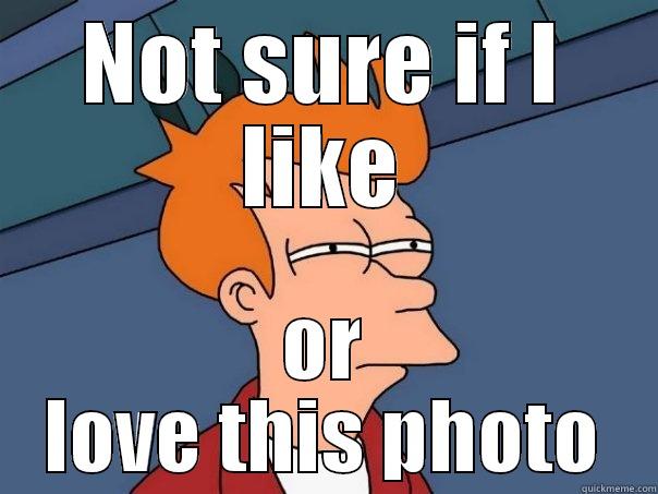 love it or like it - NOT SURE IF I LIKE OR LOVE THIS PHOTO Futurama Fry