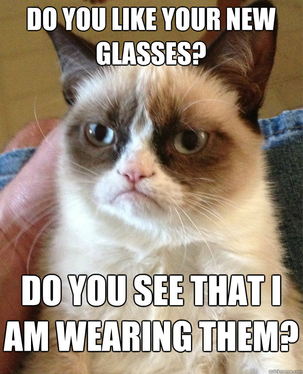 Do you like your new glasses? Do you see that I am wearing them?  Grumpy Cat