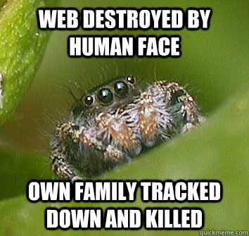 Web destroyed by human face Own family tracked down and killed  Misunderstood Spider