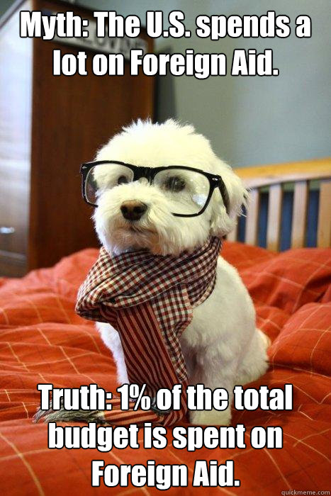 Myth: The U.S. spends a lot on Foreign Aid. Truth: 1% of the total budget is spent on Foreign Aid.  Hipster Dog