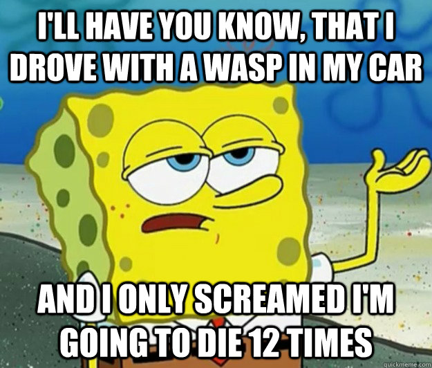 I'll have you know, that I drove with a wasp in my car And I only screamed I'm going to die 12 times  Tough Spongebob