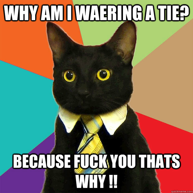 why am i waering a tie? because fuck you thats why !!  Business Cat