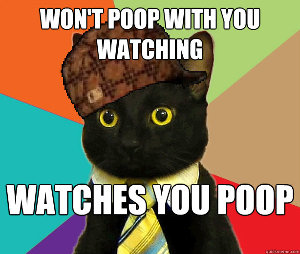 Won't poop with you watching Watches you poop  