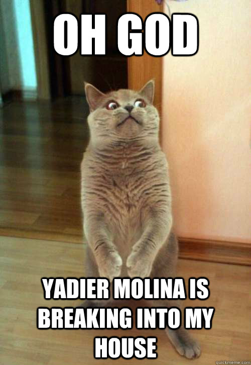 Oh god Yadier Molina is breaking into my house  Horrorcat