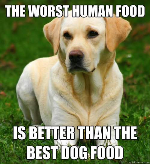 The worst human food is better than the best dog food  Dog Logic