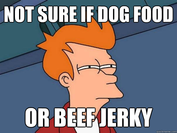 Not sure if dog food Or beef jerky - Not sure if dog food Or beef jerky  Futurama Fry