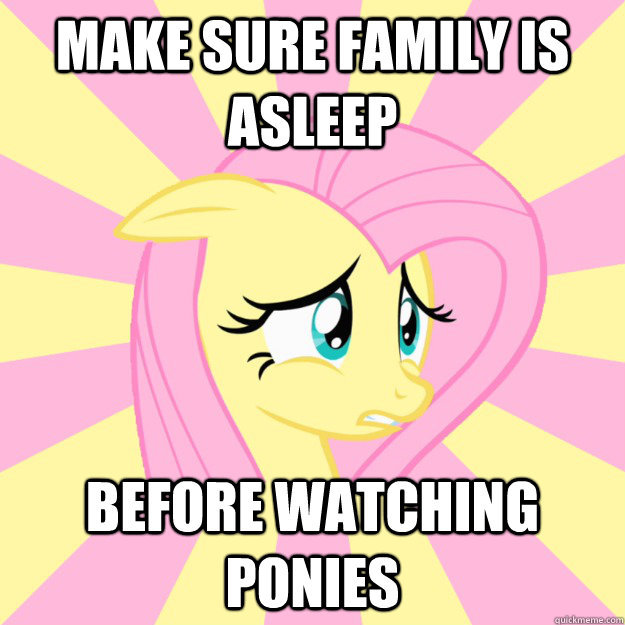 make sure Family is asleep before watching ponies  Socially awkward brony