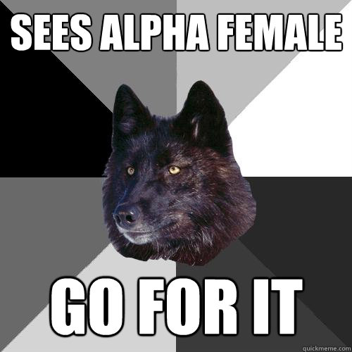 sees Alpha Female Go for it  Sanity Wolf