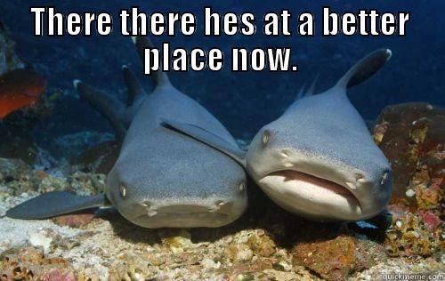 THERE THERE HES AT A BETTER PLACE NOW.  Compassionate Shark Friend