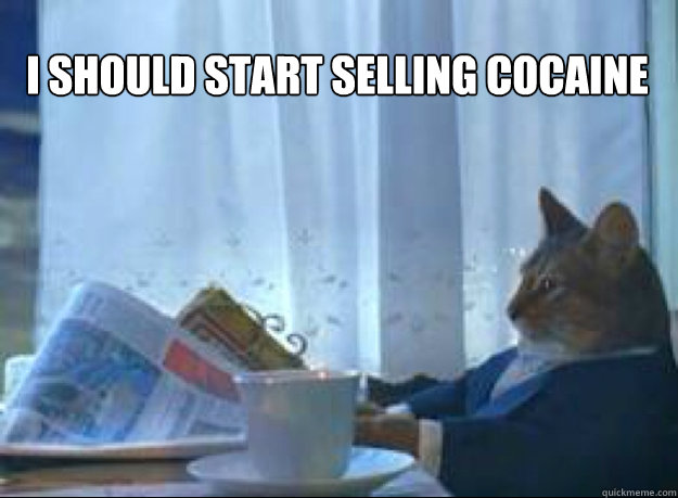 I Should start selling cocaine   I should buy a boat cat