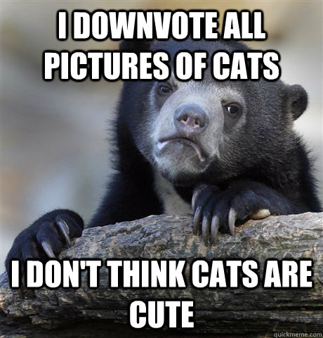 I Downvote all pictures of cats I don't think cats are cute  Confession Bear