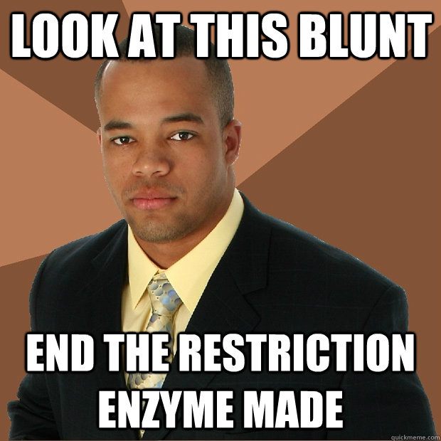 Look at this blunt end the restriction enzyme made  Successful Black Man