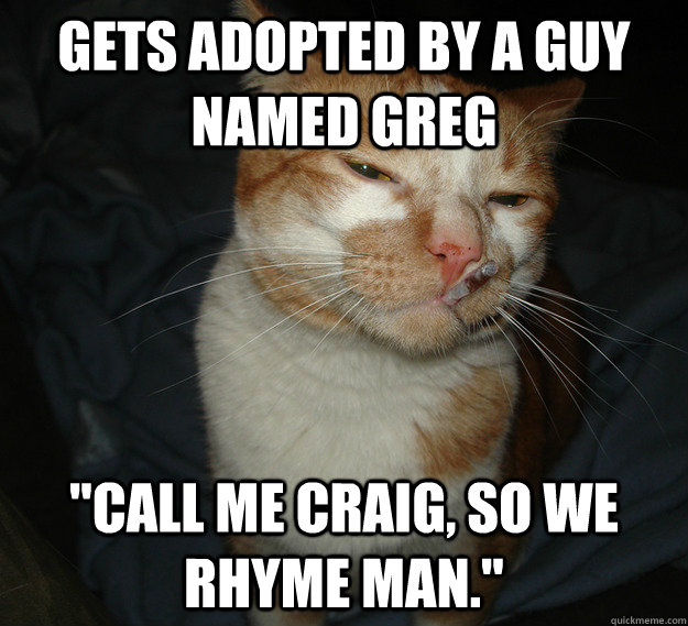 gets adopted by a guy named greg 