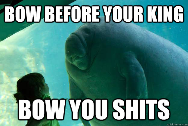 BOW BEFORE YOUR KING BOW YOU SHITS - BOW BEFORE YOUR KING BOW YOU SHITS  Overlord Manatee