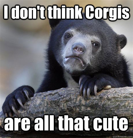 I don't think Corgis are all that cute  Confession Bear