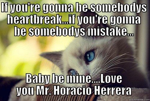 Be my mistake - IF YOU'RE GONNA BE SOMEBODYS HEARTBREAK...IF YOU'RE GONNA BE SOMEBODYS MISTAKE... BABY BE MINE....LOVE YOU MR. HORACIO HERRERA First World Problems Cat