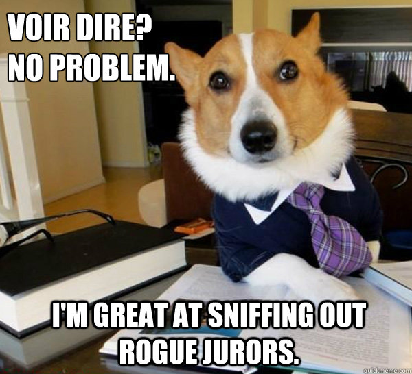 Voir dire? 
No problem. I'm great at sniffing out rogue jurors.  Lawyer Dog