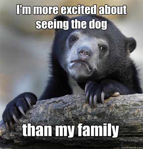 I'm more excited about seeing the dog than my family  Confession Bear