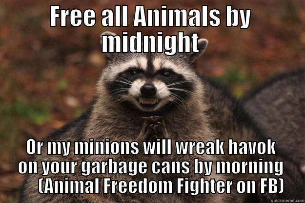 FREE ALL ANIMALS BY MIDNIGHT OR MY MINIONS WILL WREAK HAVOK ON YOUR GARBAGE CANS BY MORNING       (ANIMAL FREEDOM FIGHTER ON FB) Evil Plotting Raccoon